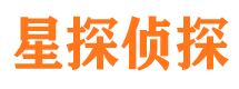 宝塔调查公司